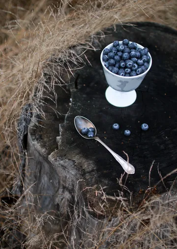 Alv dessertskål på fot Ø 11 cm - Sølv - Wik & Walsøe