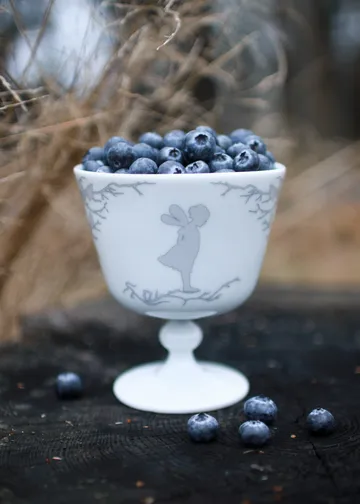 Alv dessertskål på fot Ø 11 cm - Sølv - Wik & Walsøe