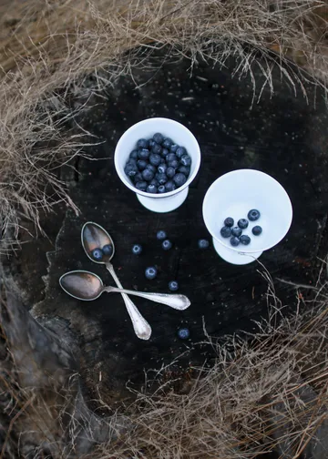 Alv dessertskål på fot Ø 11 cm - Sølv - Wik & Walsøe