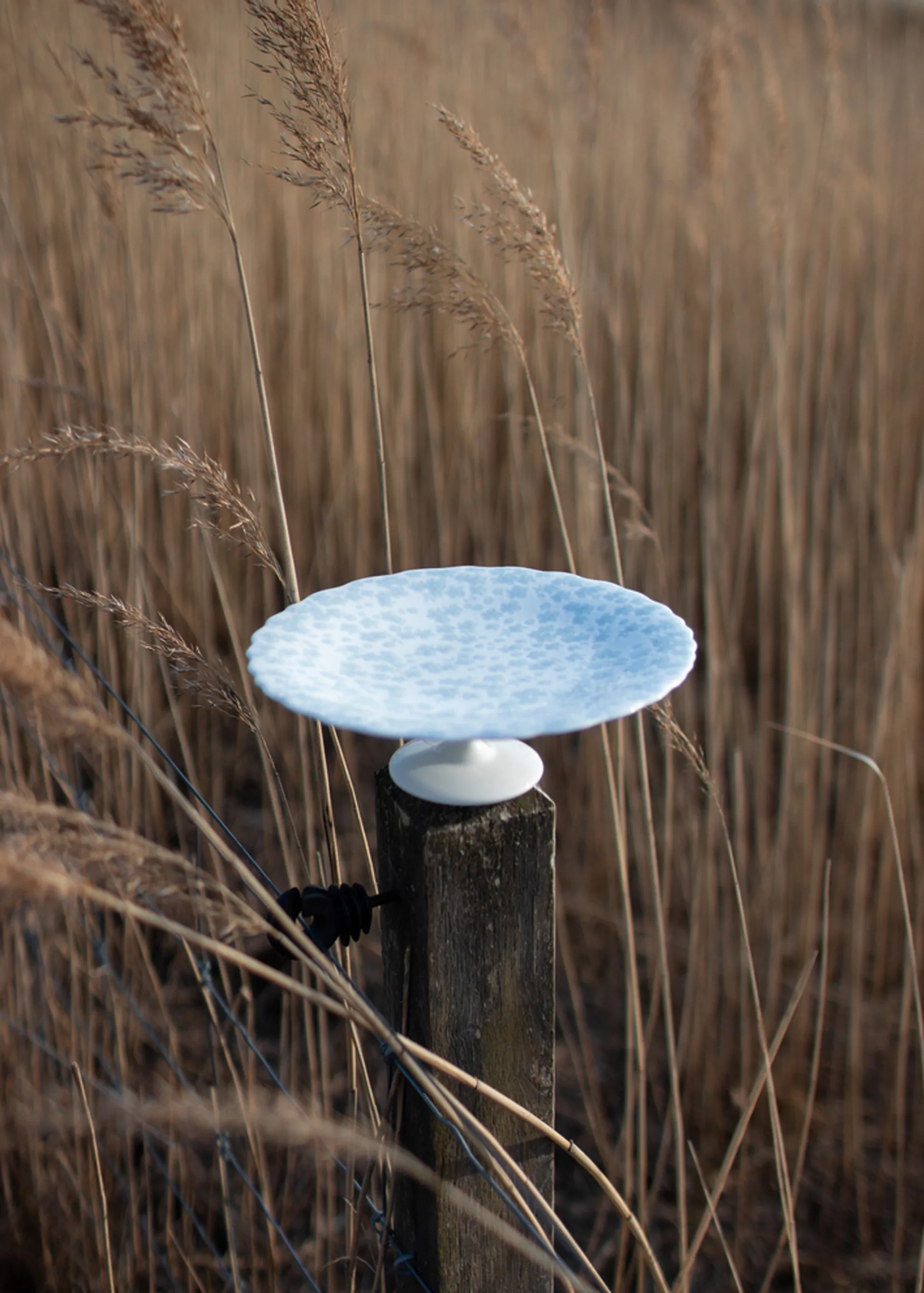 Slåpeblom kakefat Ø 21 cm, Blå Wik & Walsøe