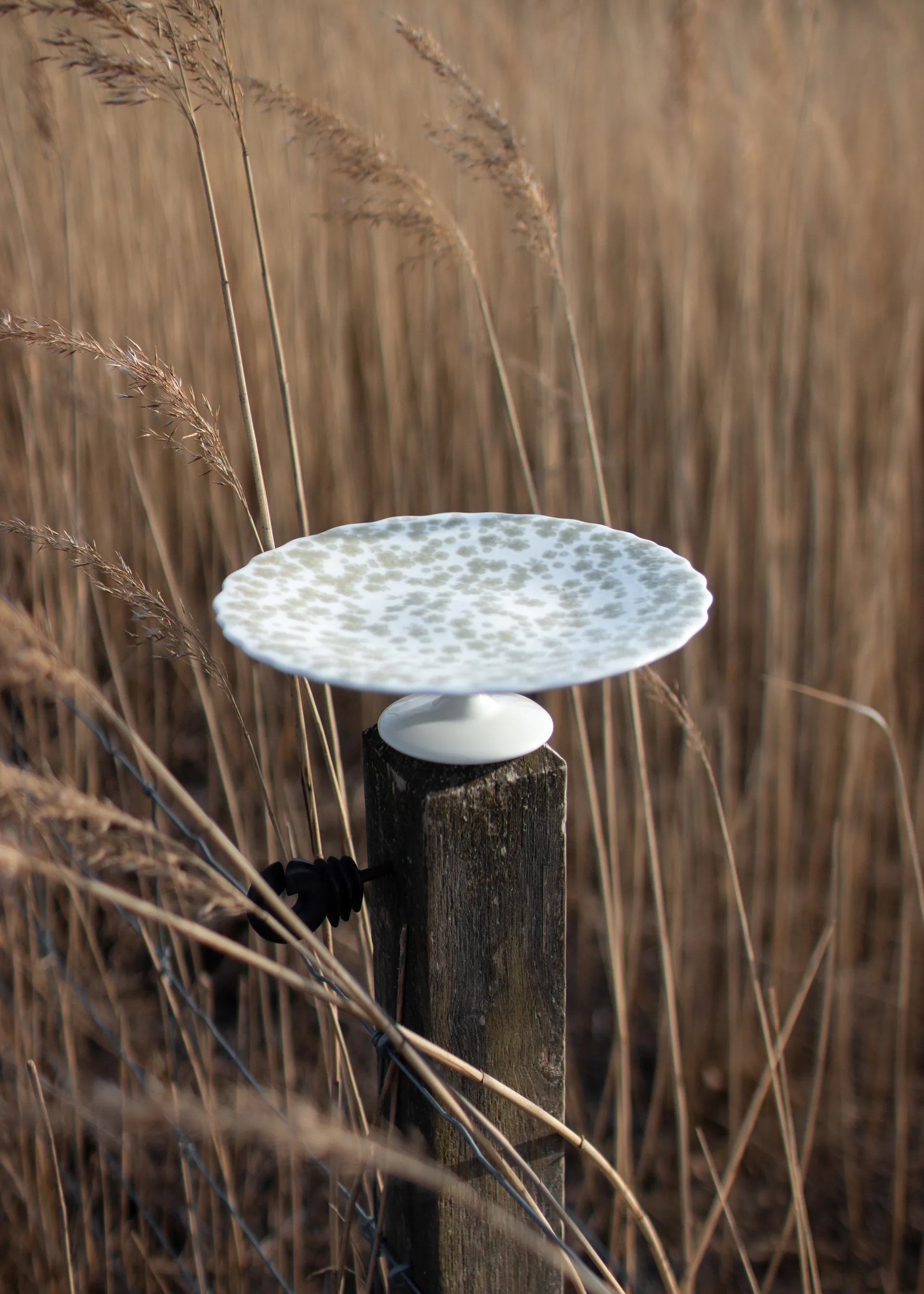 Slåpeblom kakefat Ø 21 cm, Grønn Wik & Walsøe