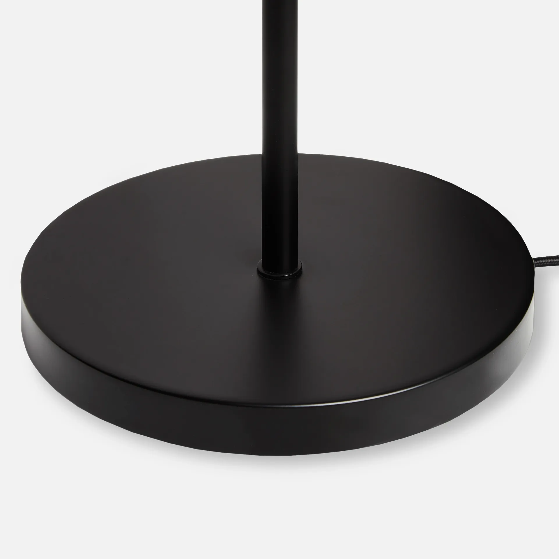 Cono stålampe, Svart Woud