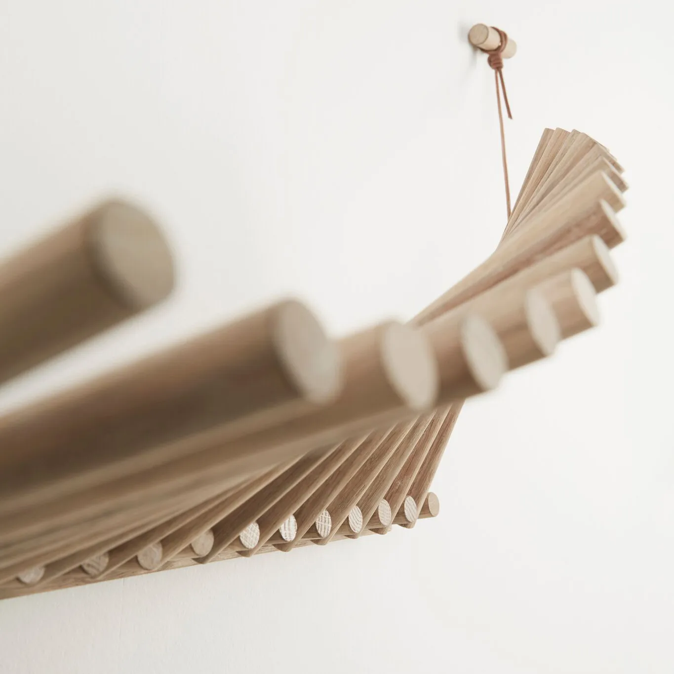 Knaegt klesknagg, hvitpigmentert eik Woud