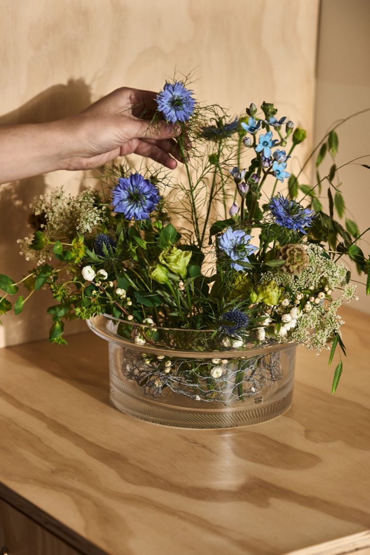 En hånd plasserer en blå kornblomst i en vase fra Limelight-serien fra Kosta Boda.