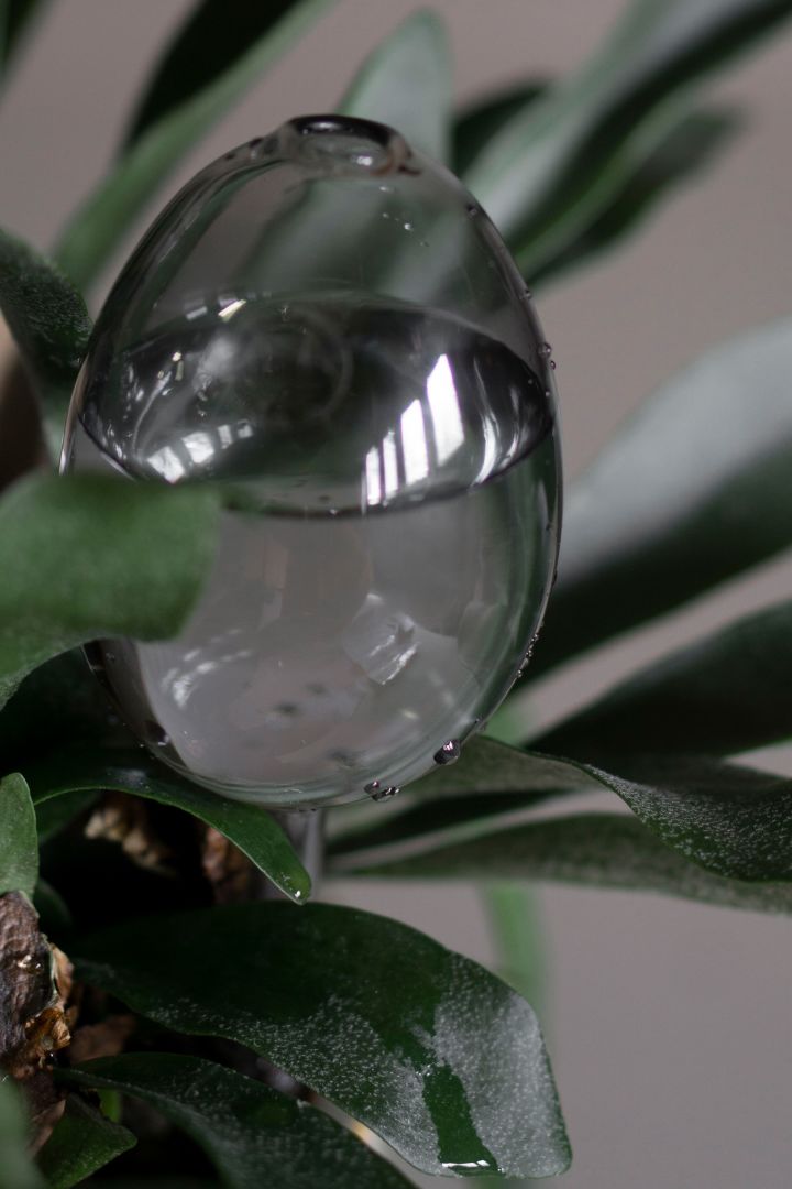 Selvvannende glasskule fra DBKD er et praktisk tips til smarte ting til hjemmet og vil forenkle hverdagen din på et blunk.