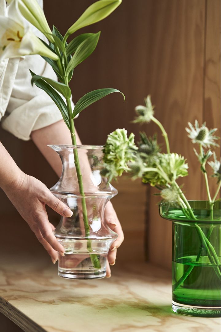 En person plasserer den klare Pagod-vasen på en kryssfinerbenk ved siden av en grønn Limelight-vase fra Kosta Boda.