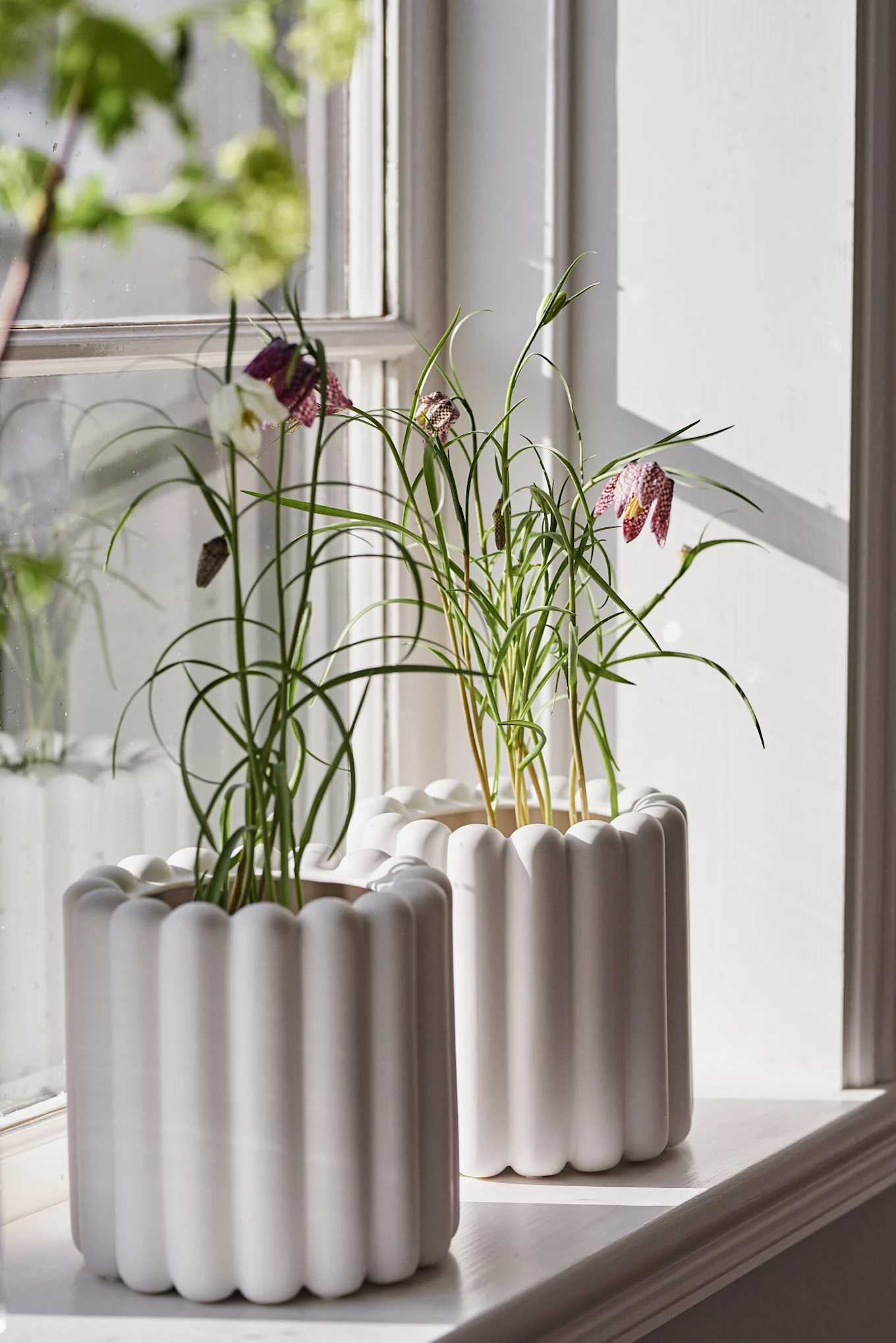 To hvite blomsterpotter fra Mist-kolleksjonen til DBKD på en vinduskarm, plantet med vårblomster.
