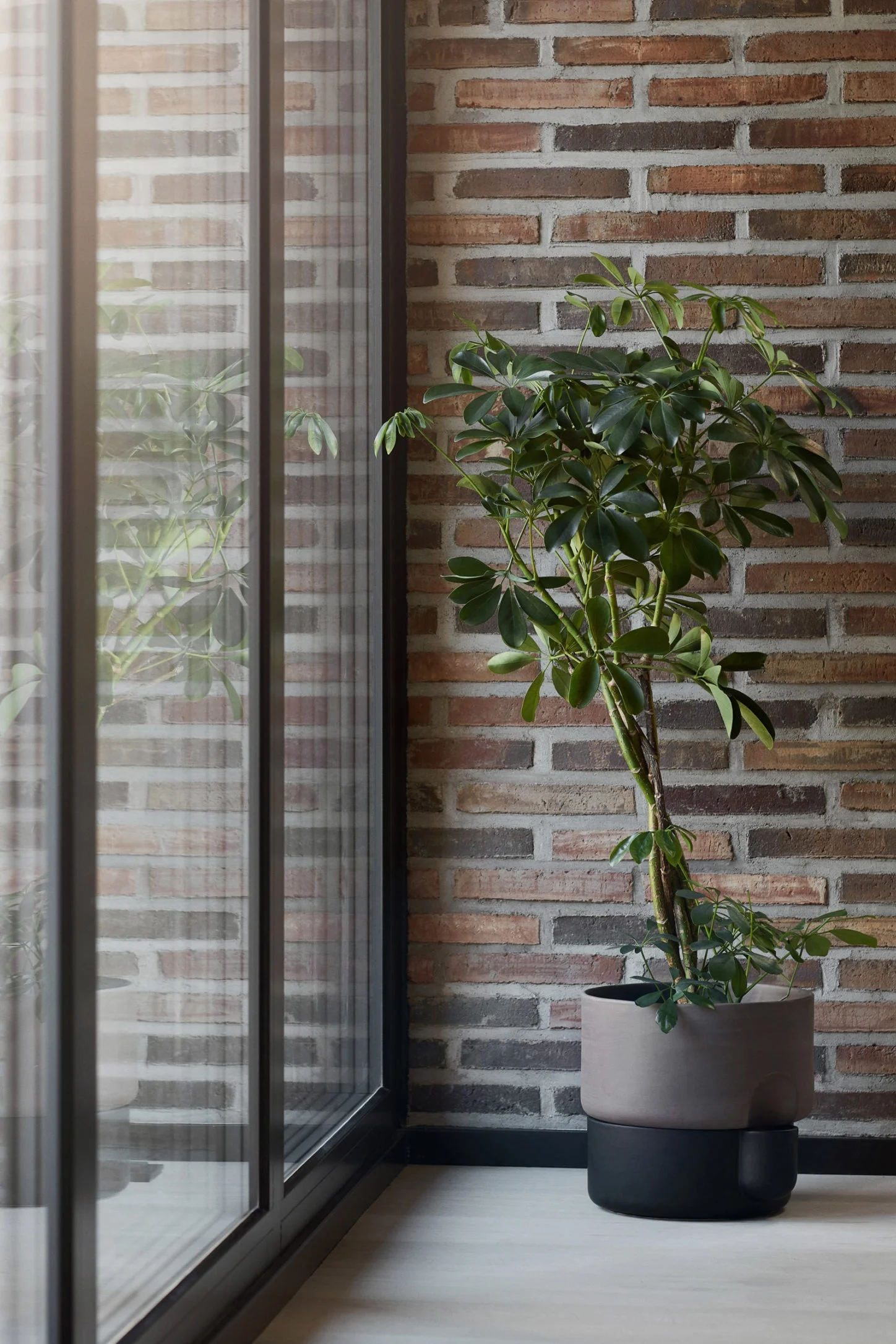 9 tips til store krukker innendørs. Innred med Oasis selvvannende krukke mørkebrun i terrakotta fra Northern.