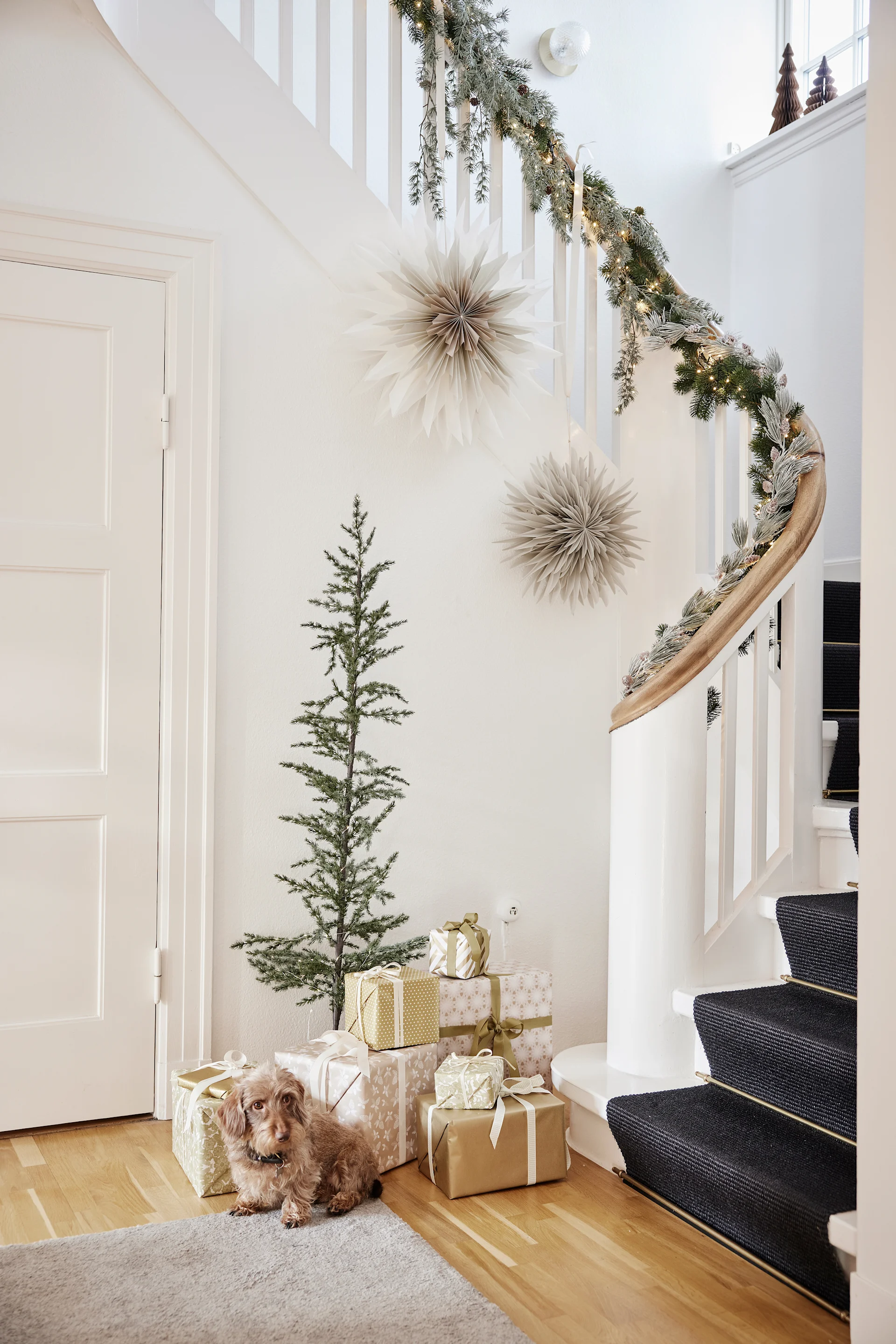 Adventsstjerner i papir henger i trappeoppgangen over et juletre, en gavehaug og en liten hund.