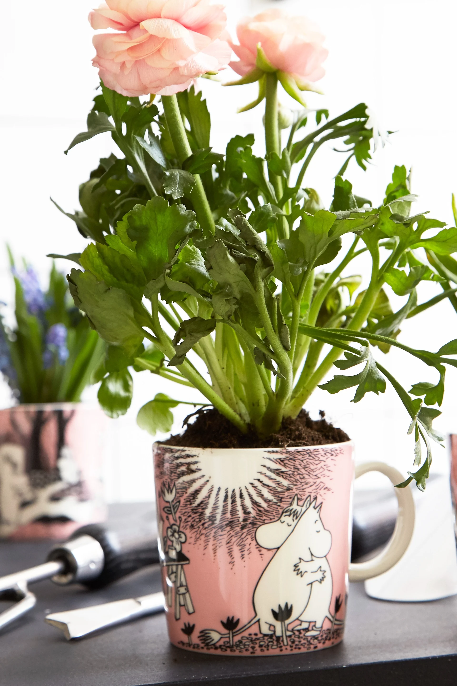 En rosebukett er plantet i mummikoppen «Love».
