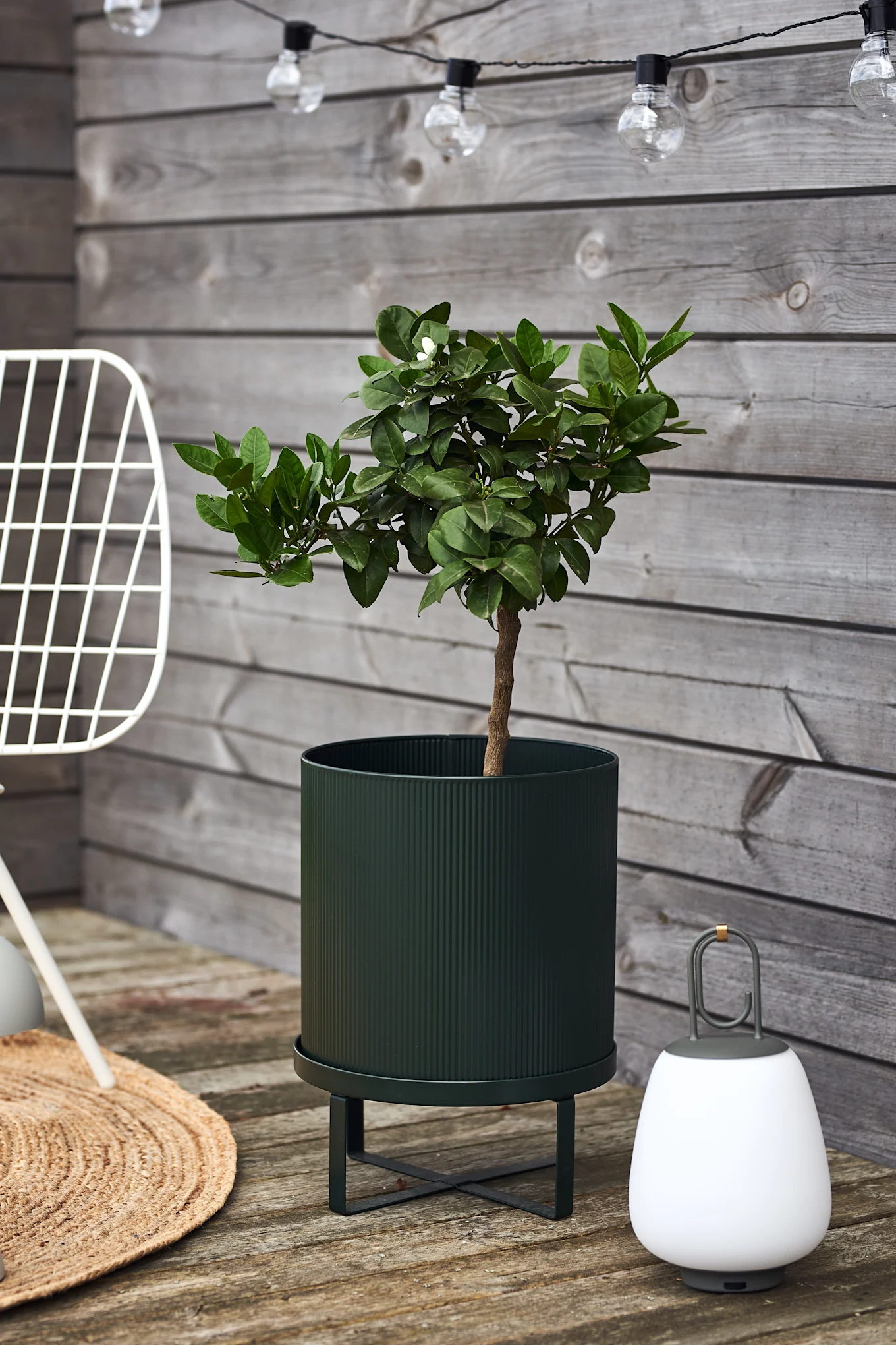 Tips til koselig uteplass - innred uteplassen med planter og grønt. Her ser du den stilige ferm LIVING Bau utekrukke med et fint oliventre.