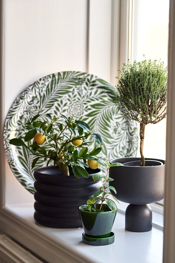 9 tips til store krukker innendørs. Innred med Mist krukke oval i hvit i keramikk fra DBKD. Foto: @nytthem