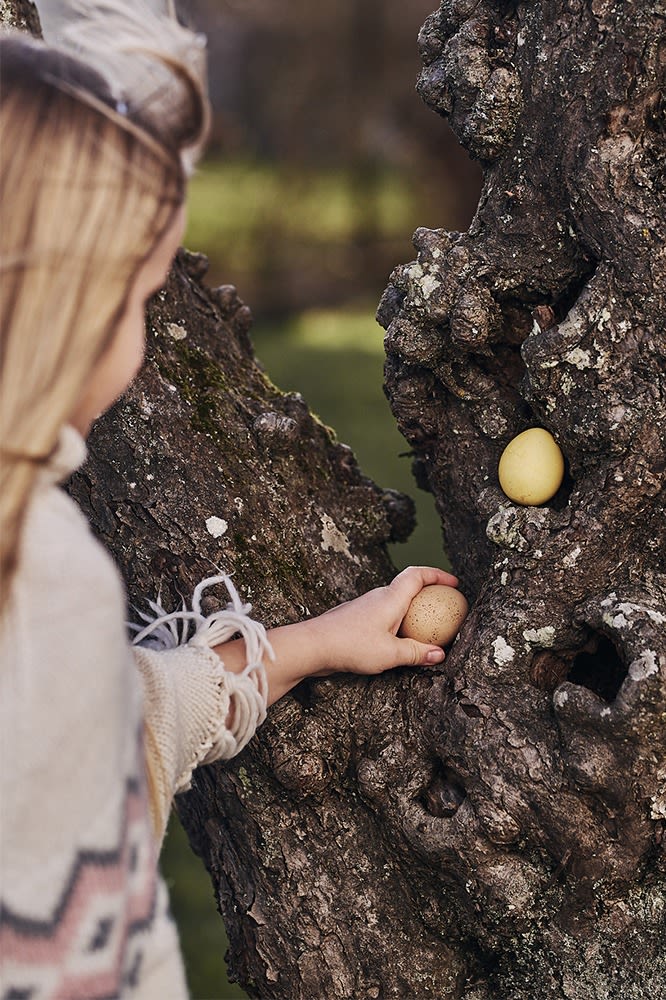 Fargede egg har blitt gjemt i treet under eggjakt i hagen.