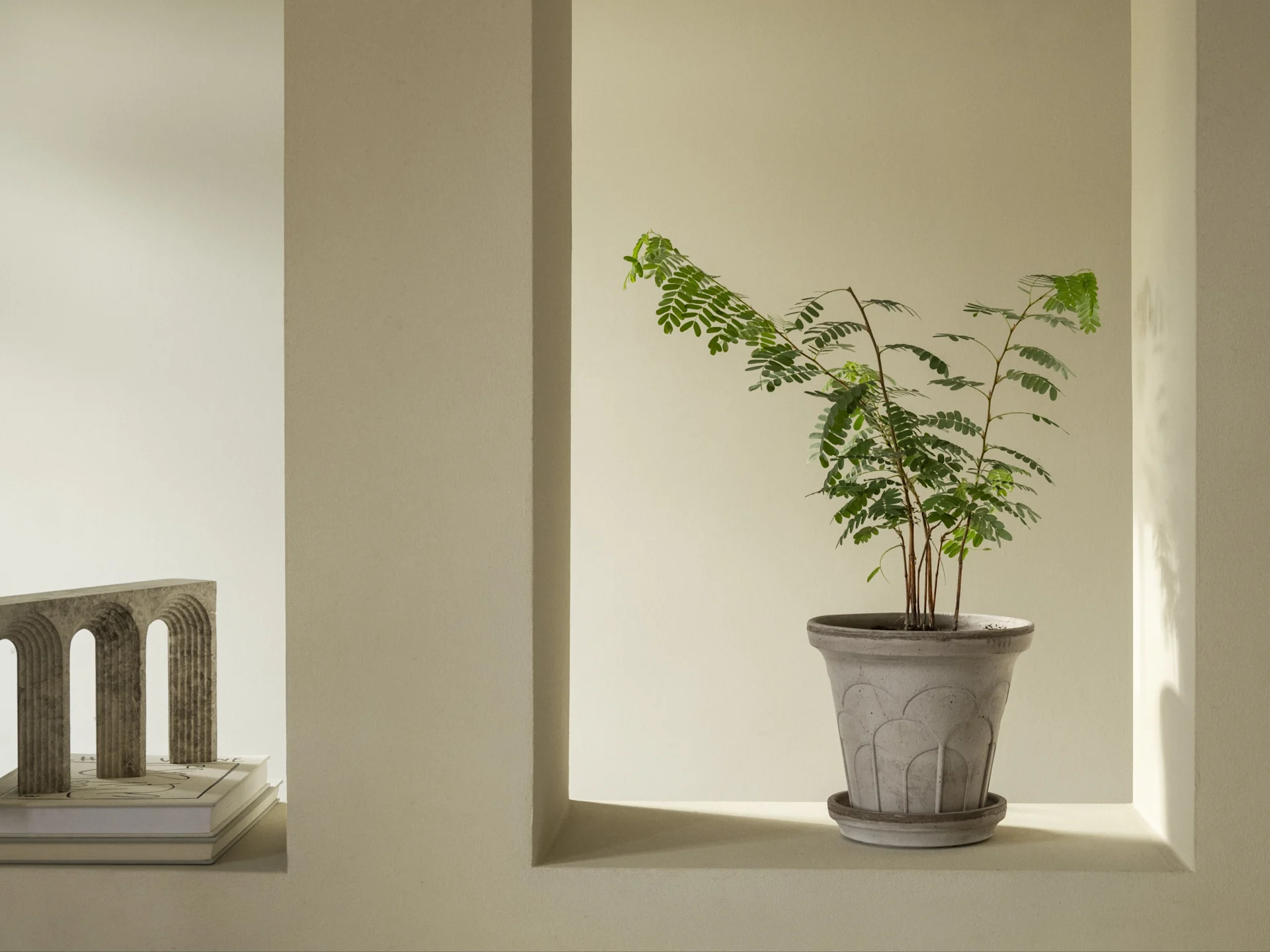 Et minimalistisk interiør med en grønn plante i en mønstret grå potte i en veggnisje, ved siden av en skulpturell bue på bøker.
