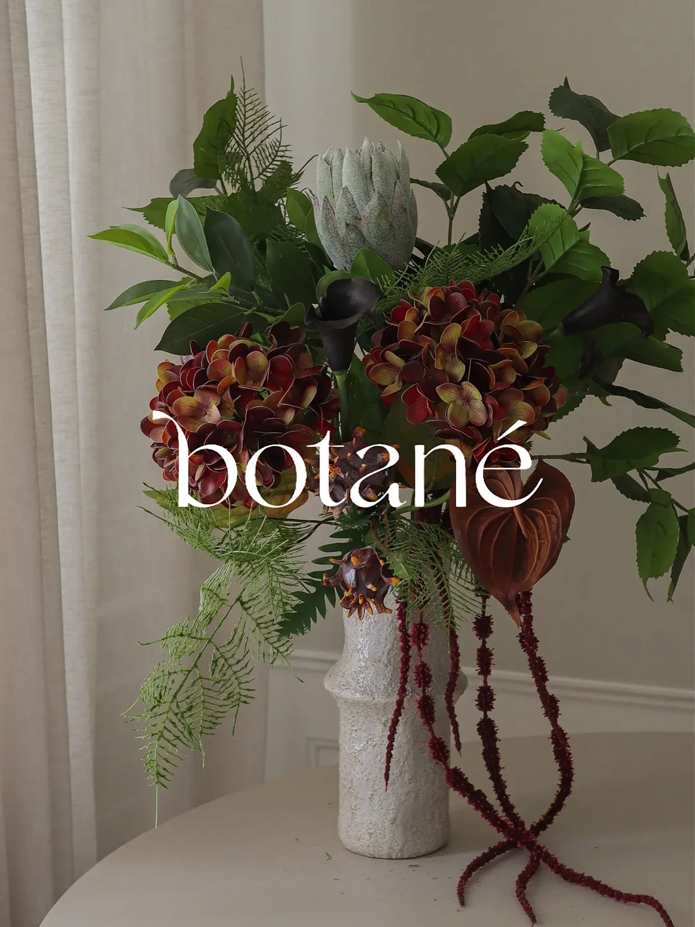 Et blomsterarrangement med røde hortensiaer, en protea og svarte kallaer i en hvit vase, med 'botané' overskrift.