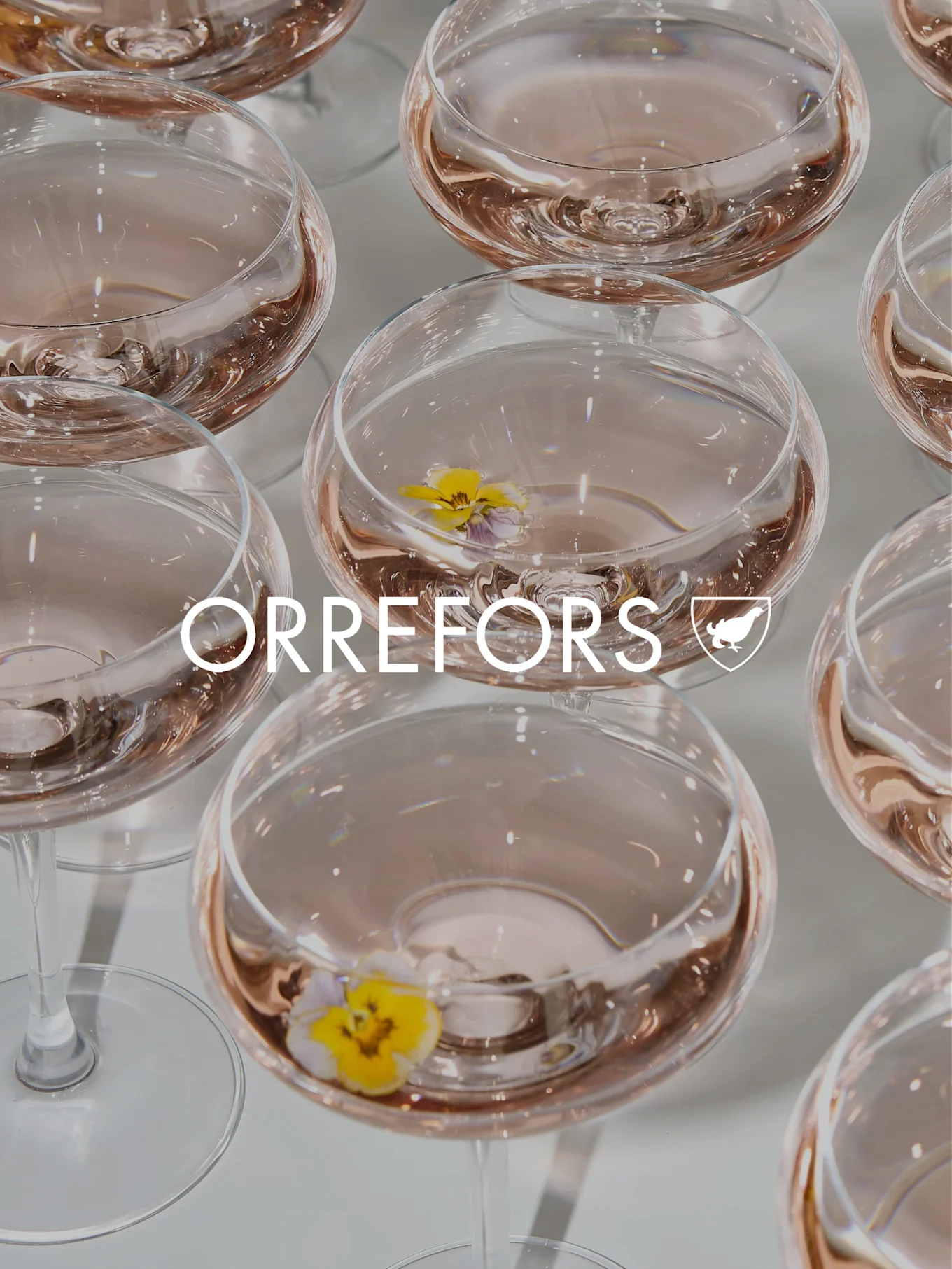 Klare glassbeger med rosa væske og gule stemorsblomster. 'ORREFORS'-tekst og logo er overlagret.