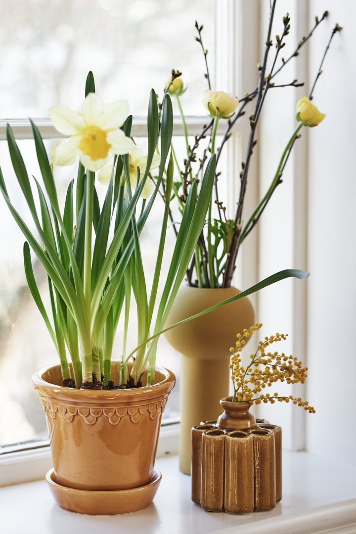 Bergs Potter potte, Pillar vase fra Cooee Design og en liten potte i oker med vårblomster står i vinduskarmen.