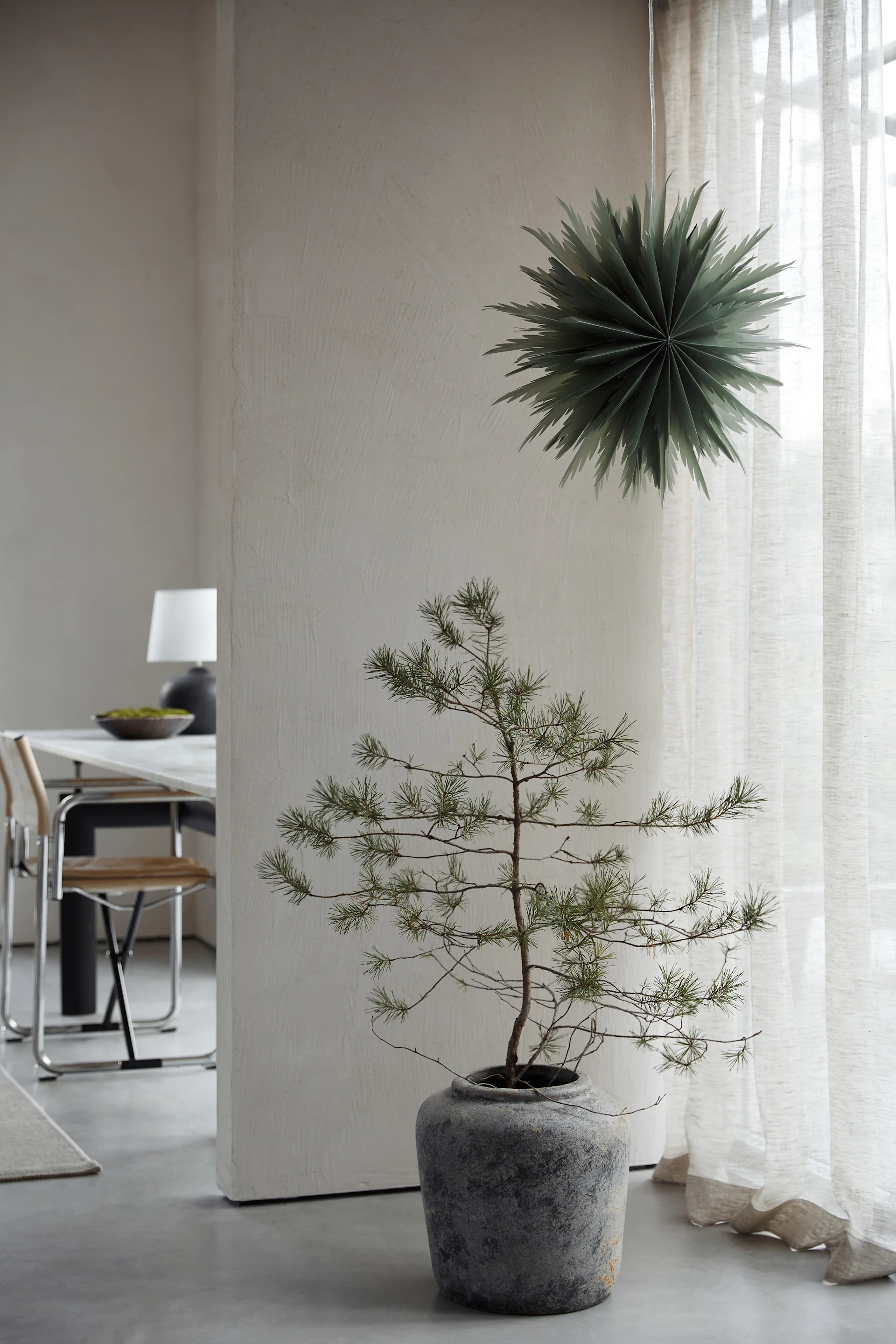 Liz, en grønn adventsstjerne i papir fra Watt & Veke, henger i vinduet over en høy grønn plante.
