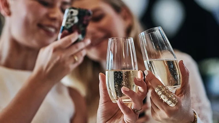 Gjestene skåler med Riedel champagneglass på en sommerfest.