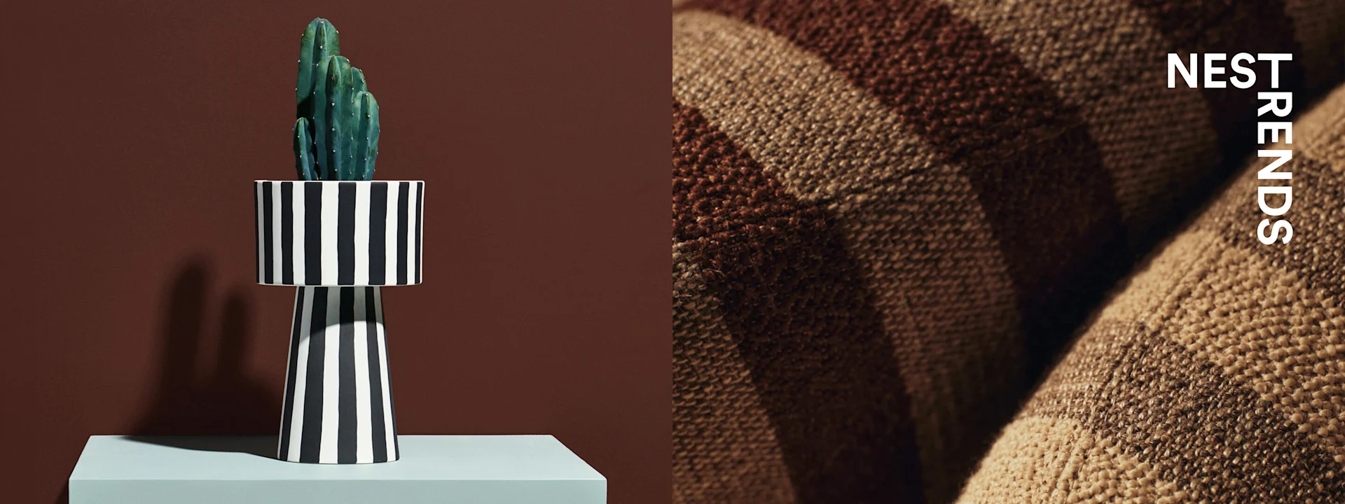 Grønn kaktus i sort/hvit stripet vase på lyseblå pidestall, ved siden av brunt/beige stripet vevd stoff. Tekst: NEST TRENDS.