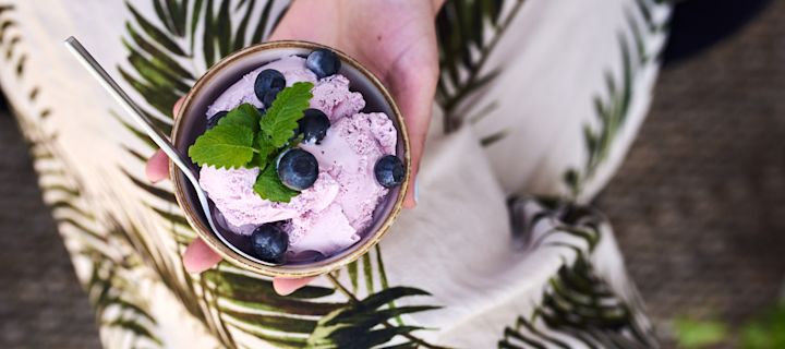 Hjemmelaget gelato i en rustikk bolle toppet med friske blåbær. 