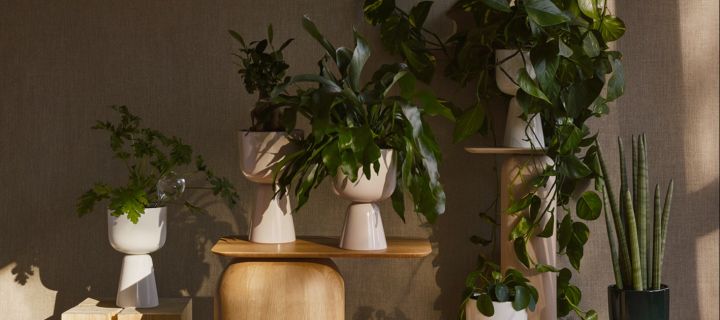 9 tips til store krukker innendørs. Innred med keramikkkrukken Nappula fra Iittala for et koselig hjem
