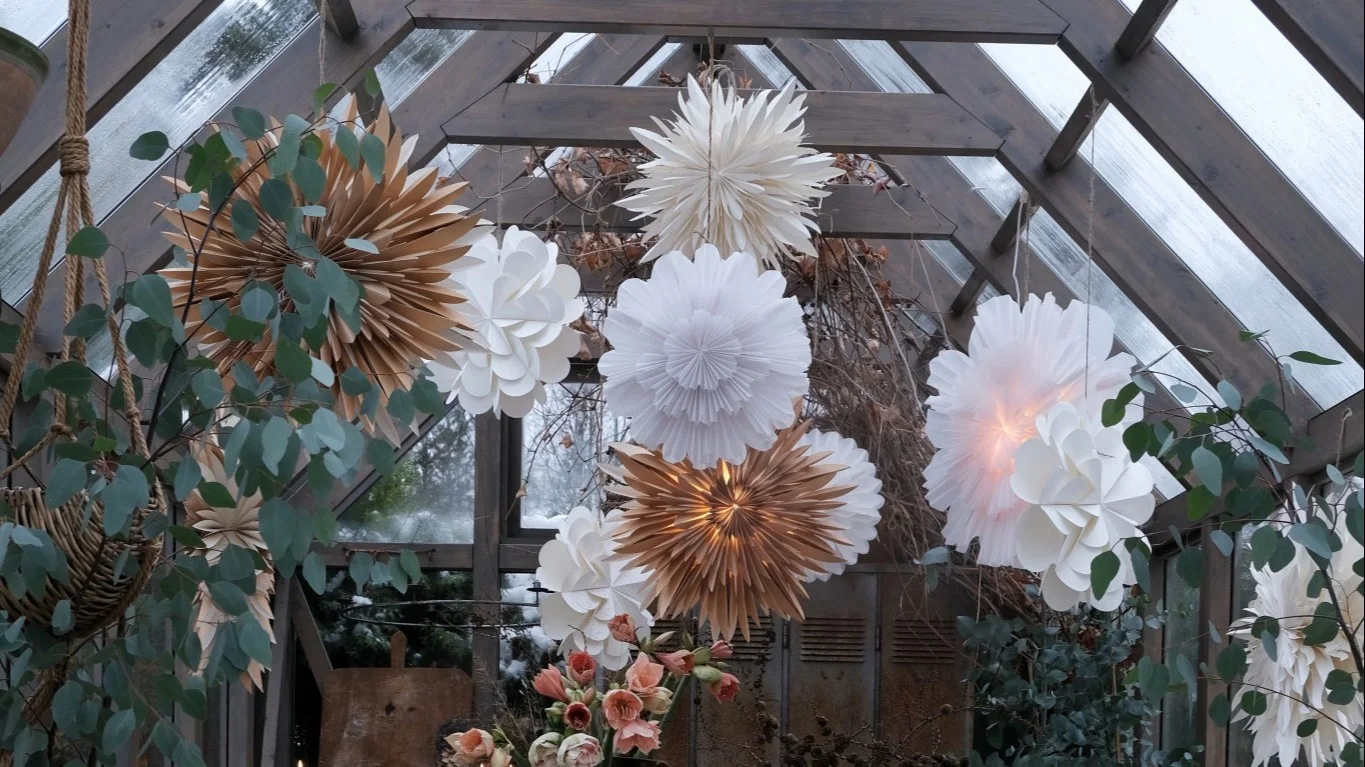 Årets julestjerner fra Watt & Veke, Star Trading og Scandi Living i hvitt og brunt.