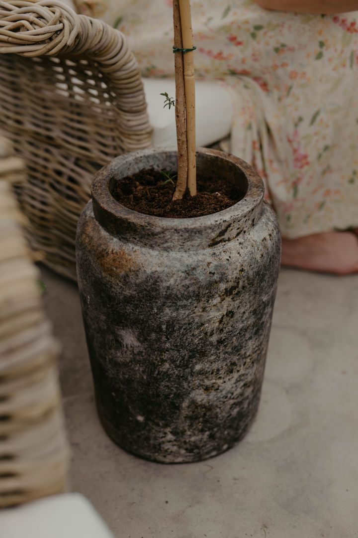 Krukker som Echo potten fra Muubs med vakre blomster er perfekte til å innrede drivhus med. Foto: Johanna Berglund, @snickargladjen