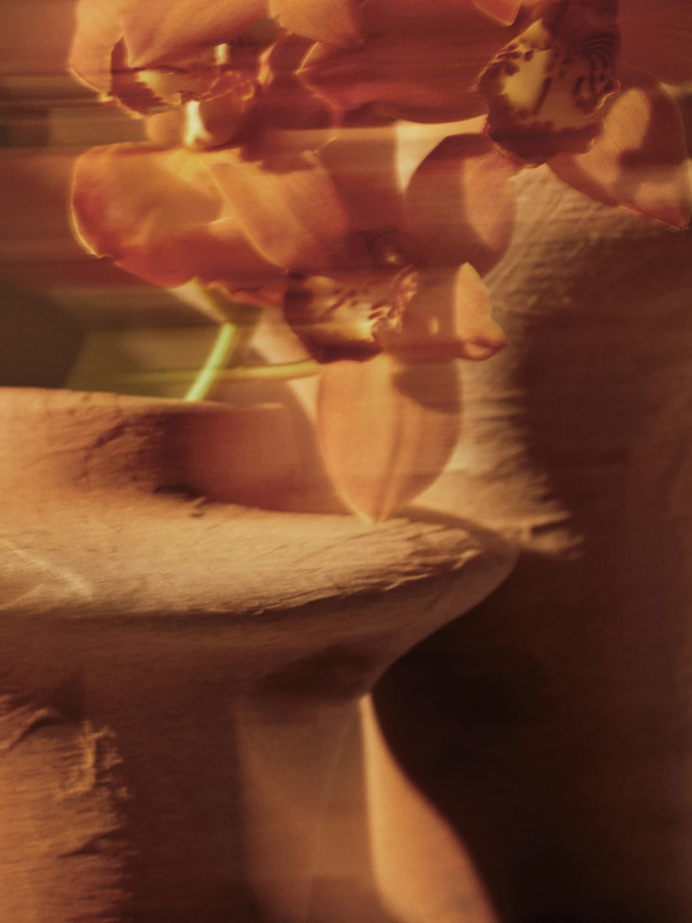 Uskarpt bilde av oransjerøde orkideer med mykt fokus mot en teksturert bakgrunn.