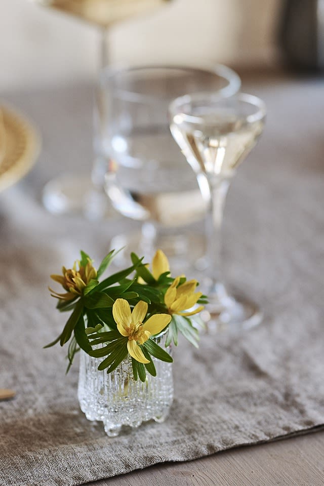 Ultima Thule snapsglass med gulveis i står på et vårdekket bord.
