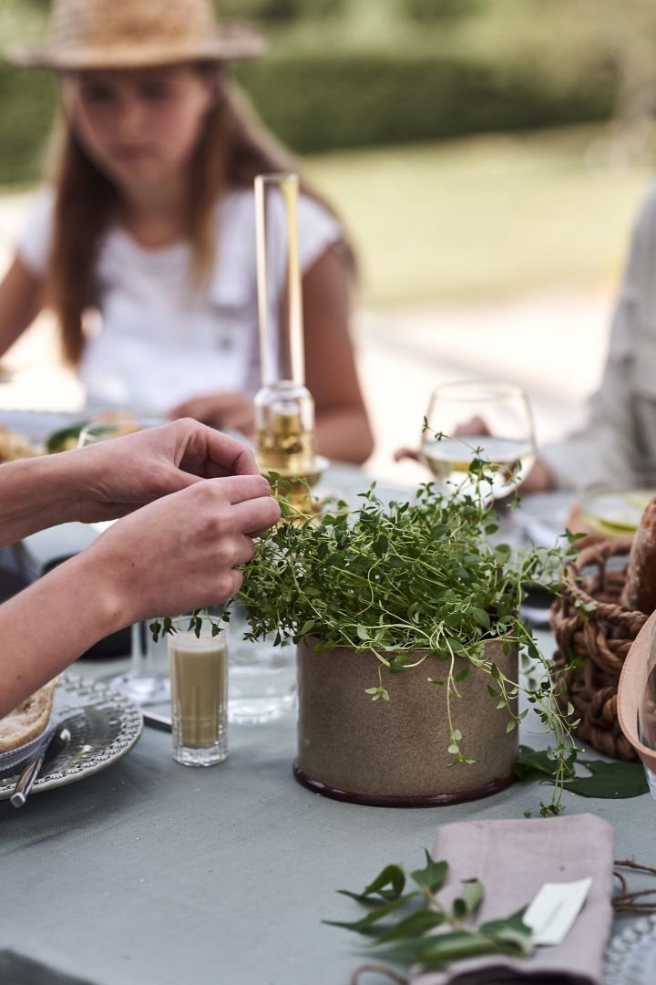 Et smart festtips til hagefesten er å plassere krydderurter på bordet i krukke fra DBKD, fordi det både ser fint ut på bordet og gjestene kan plukke selv.