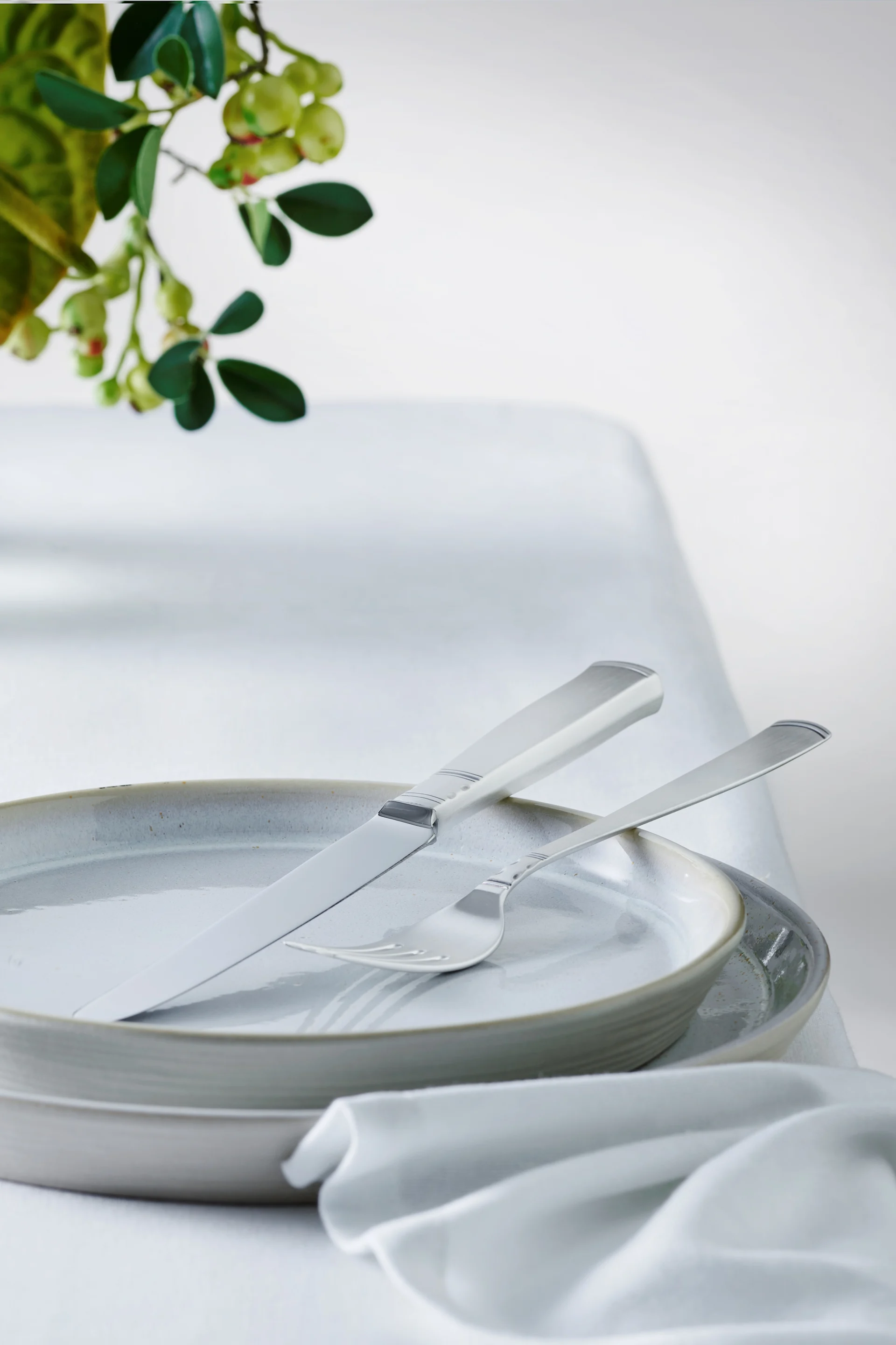 Bestikkguide - vedlikeholdsråd for rengjøring av bestikk. Rosenholm sølvbestikk fra Gense.