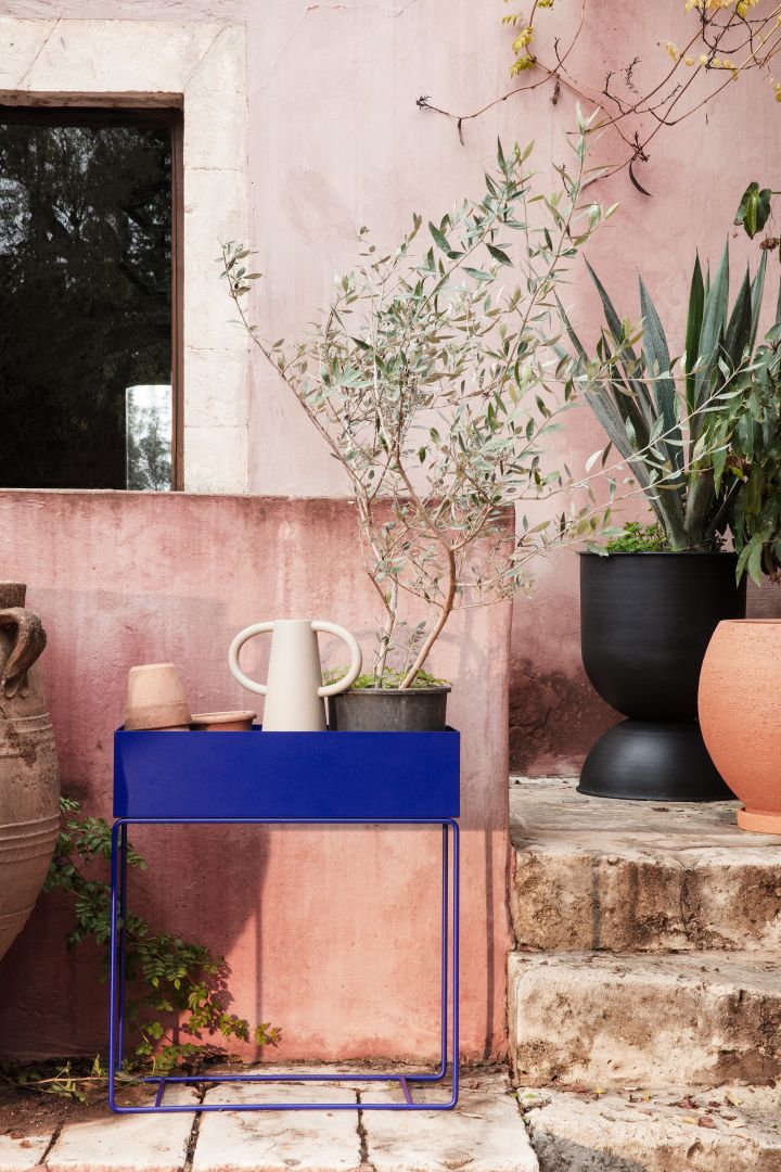 Plant Box i koboltblått fra Ferm Living, her fylt med terrakottakrukker, en vase og en stor plante med grønne blader.