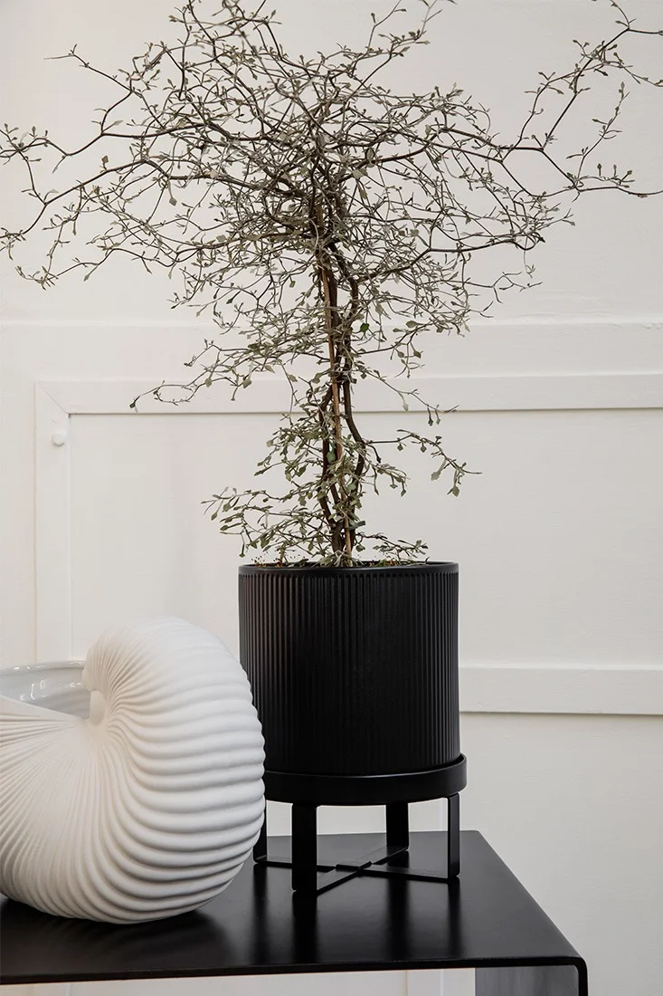 Bau blomsterpotte fra Ferm Living, Shell vase fra Ferm Living.