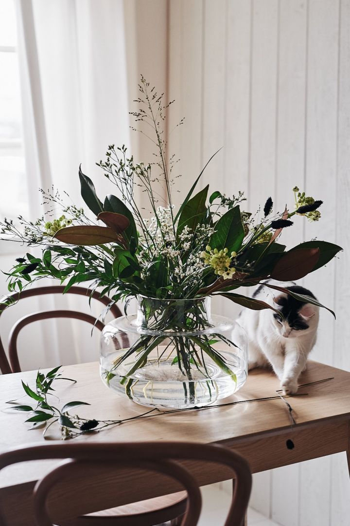 En katt leker med en løs blomst på et spisebord med en bukett blomster i den klare Urna-vasen fra Marimekko.