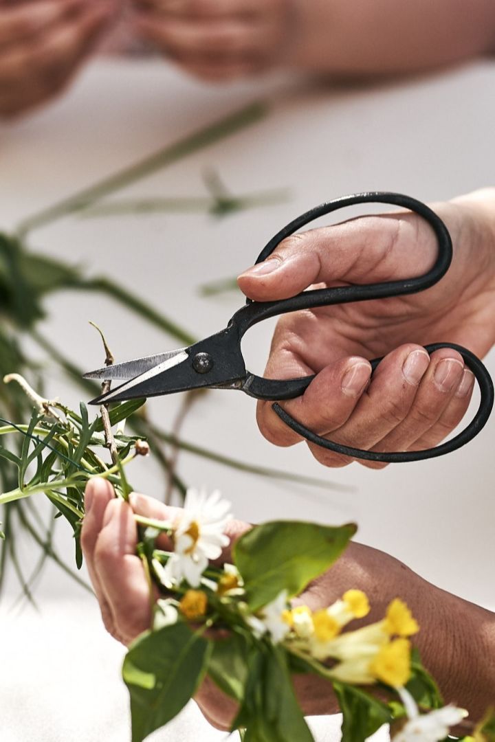 Bruk saks eller blomstersaks til å klippe blomstene dine til en ekte svensk midtsommer