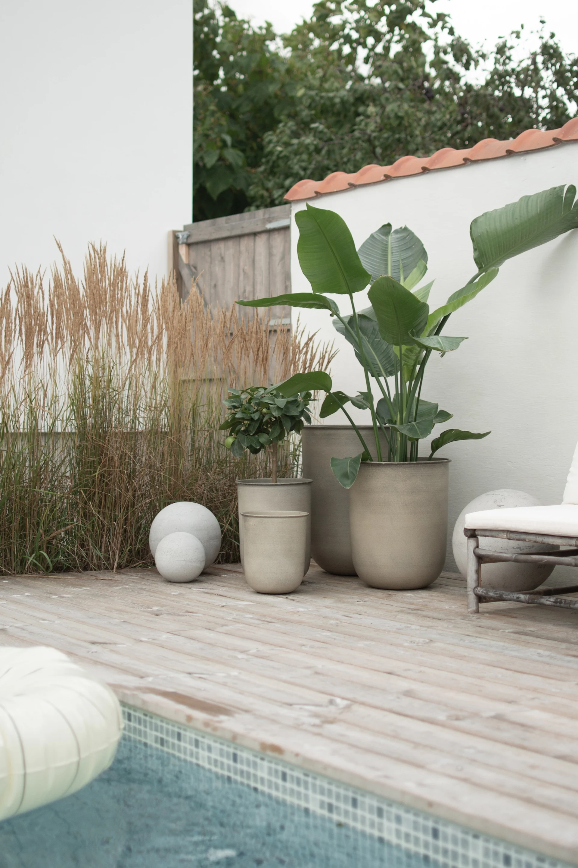 Utendørs treterrasse ved bassengkanten med store potteplanter, høyt gress, dekorative betongkuler og en hvit solseng.